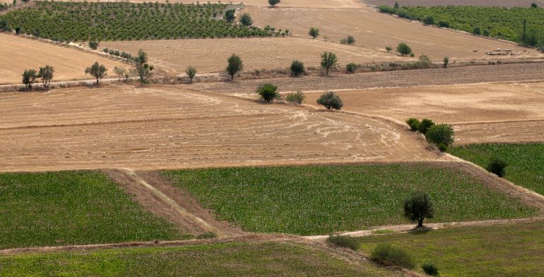 Reato di caporalato anche nei servizi
