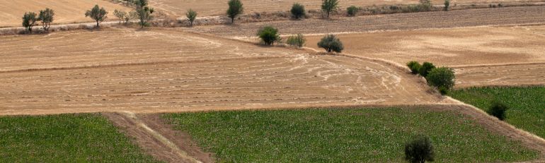 Reato di caporalato anche nei servizi