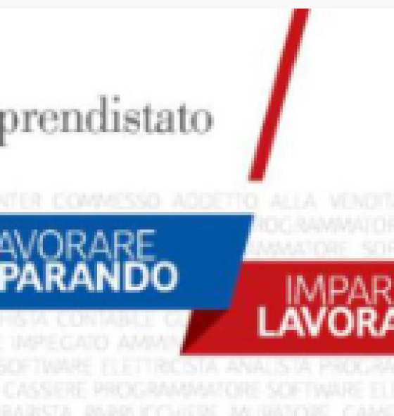 Nullo il contratto di apprendistato senza formazione