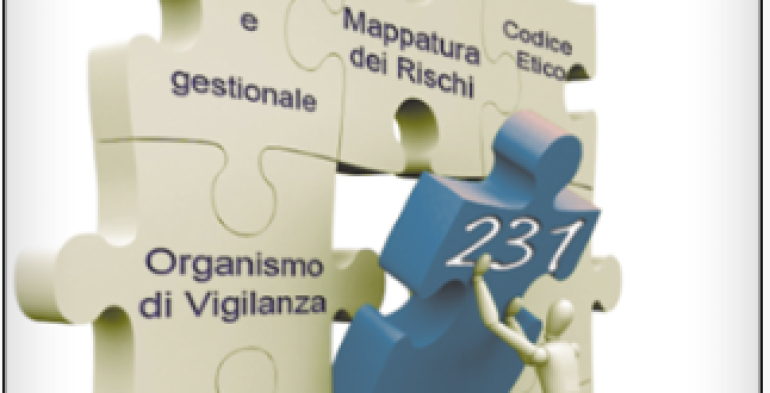RLS e ufficiale di polizia dell’organo di vigilanza: ruoli non sovrapponibili