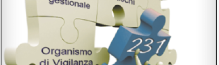 RLS e ufficiale di polizia dell’organo di vigilanza: ruoli non sovrapponibili