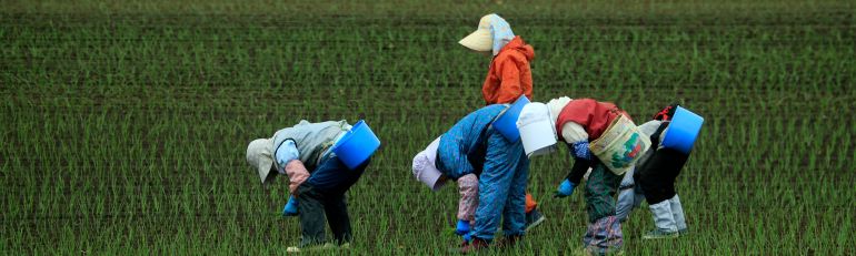 Caporalato: indici di sfruttamento, stato di bisogno e gestore di fatto