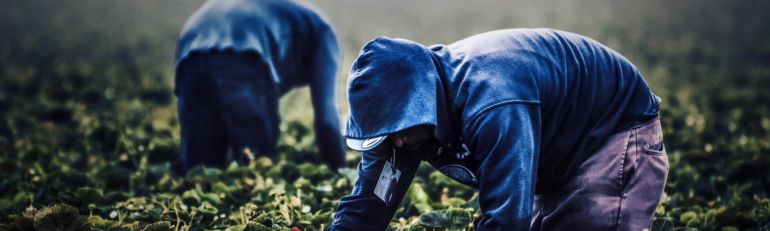 Reato di caporalato anche nei servizi